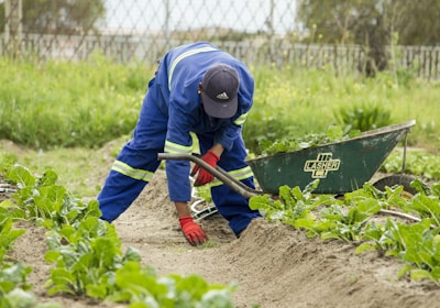 Employee working outdoors